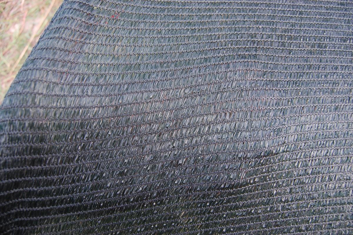 CM Portugalia - 2013 (7) - dsc0040.JPG